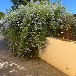 بيت للعطل Quinta Da Layla