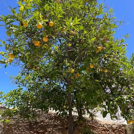 Quinta Da Layla *