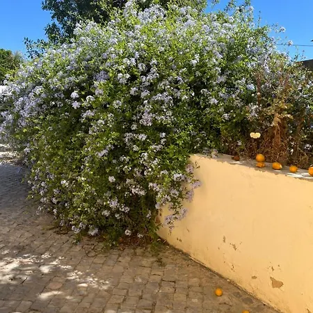 Semesterbostad Quinta Da Layla