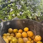 Сasa de vacaciones Quinta Da Layla Olhão