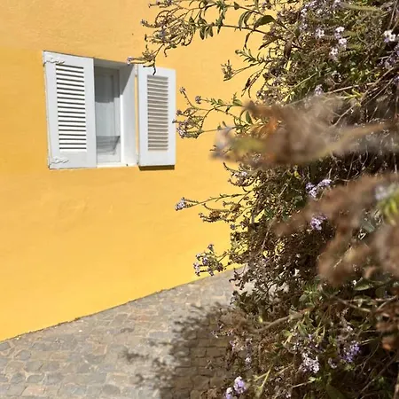 Quinta Da Layla *