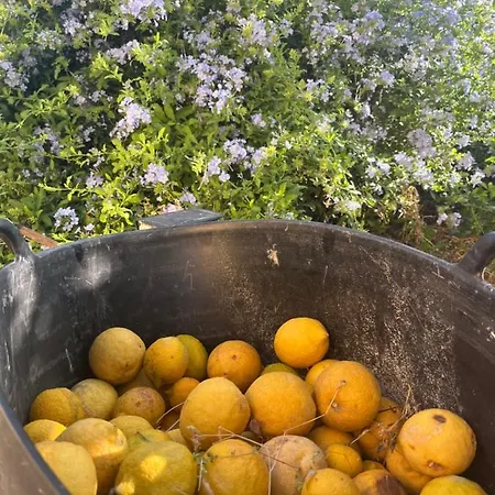 Prázdninový dům Quinta Da Layla Olhão