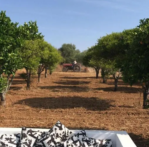 Quinta Da Layla 度假居 *