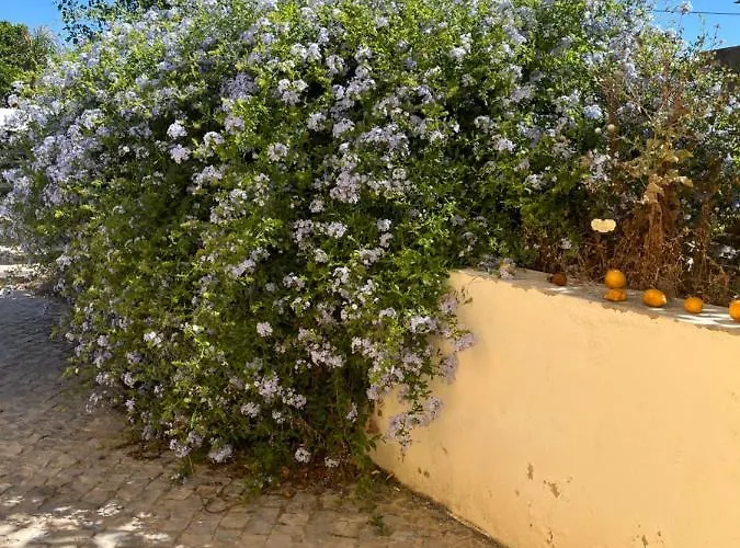 度假居 Quinta Da Layla