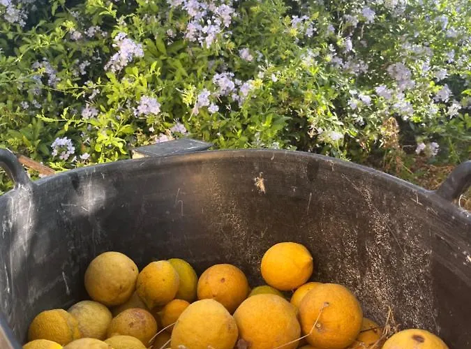 度假居 Quinta Da Layla 奥良